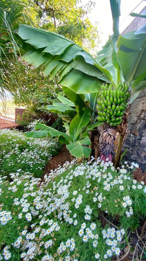 Casa Ideal Para Familias Com Vista Mar Desafogada Funchal  Bagian luar foto