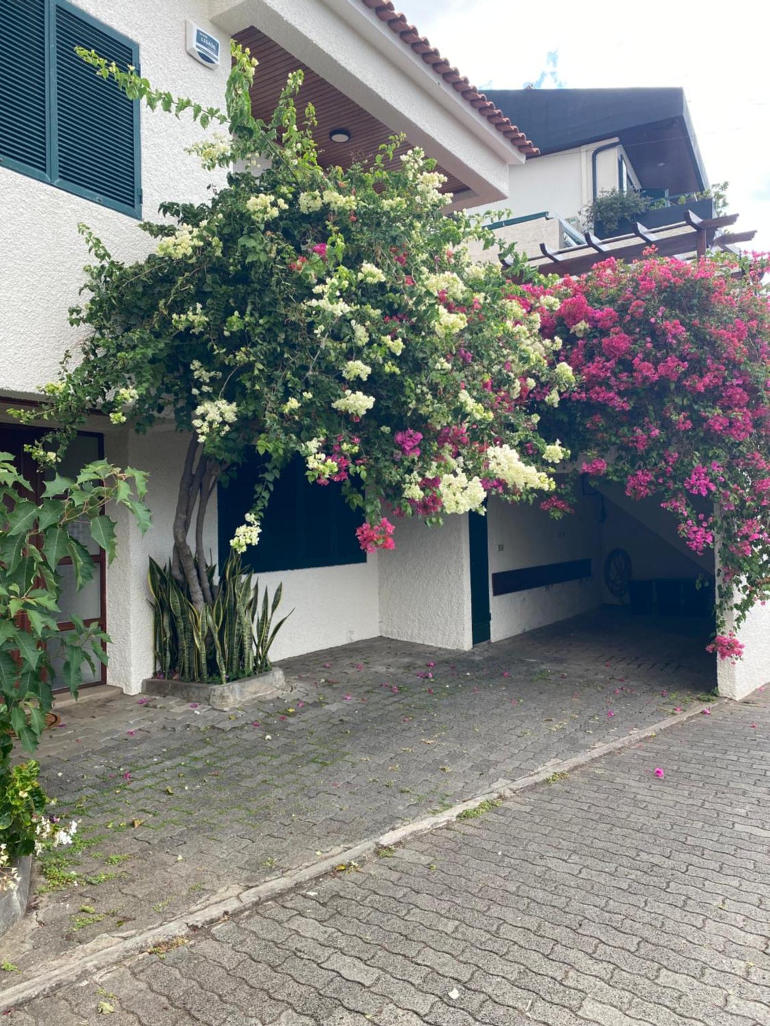 Casa Ideal Para Familias Com Vista Mar Desafogada Funchal  Bagian luar foto